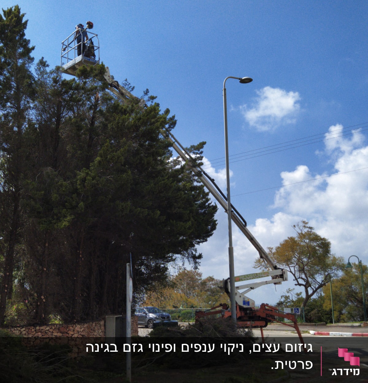 עובד גיזום על מנוף גוזם עצים גבוהים